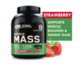 Serious Mass Weight Gainer – 1250 Calories Per Serving | Multiple Flavors